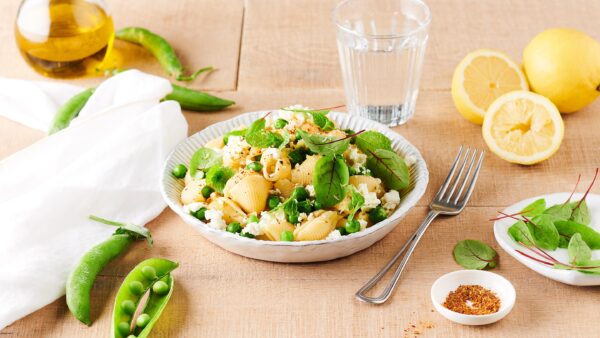 Salade gourmande de conchiglionis au thon